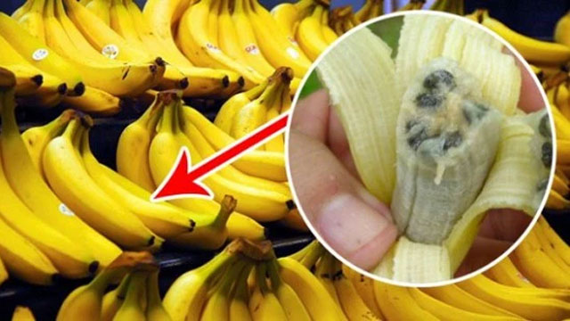 Яна банан билан боғлиқ можаролар: Банан плантациялари йўқ қилинмоқда