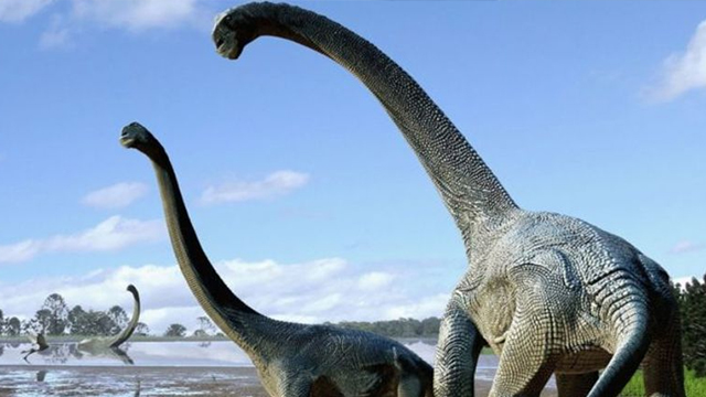 Олимлар гигант динозаврларнинг тезлигини аниқлади