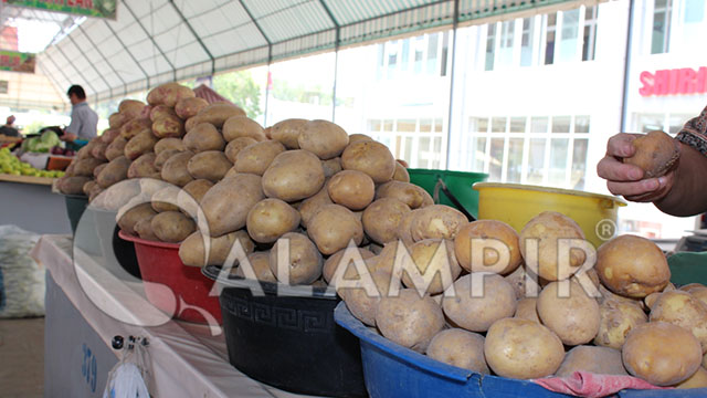 Янги фармон: картошка арзонлашиши мумкин