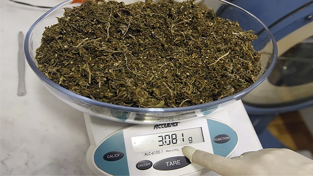 Андижонлик киши 3 кг марихуана билан қўлга тушди