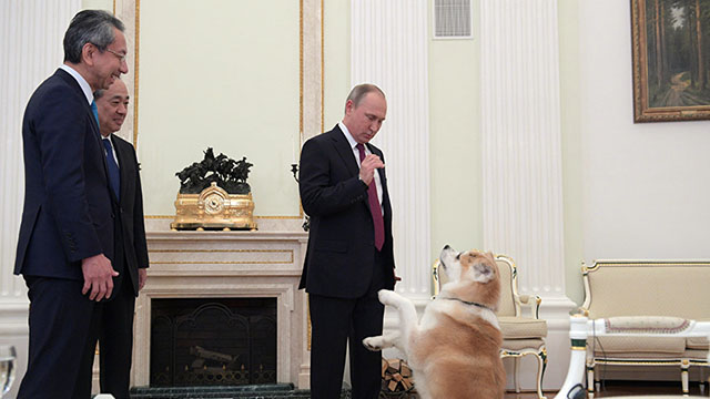 Путиннинг ити япониялик журналистни қўрқитиб юборди Путиннинг ити япониялик журналистни қўрқитиб юборди