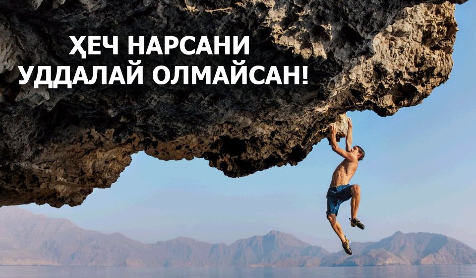 Qalampir.uz - Лойиҳалар